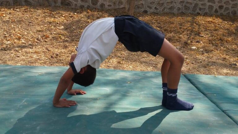 50416231_1196414057181475_5638737948737273856_n